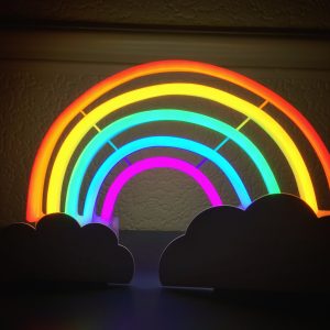 Rainbow Project head in the clouds